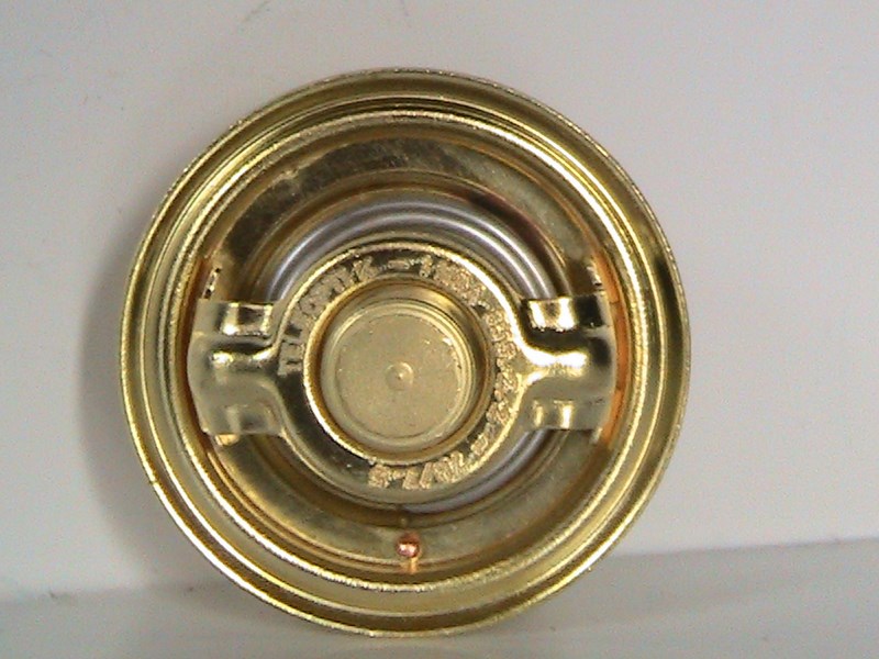 835.2.2-termostat-teleoptik