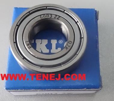 lezaj-6003zz-fkl