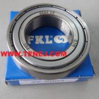 6006-zz-fkl.jpg